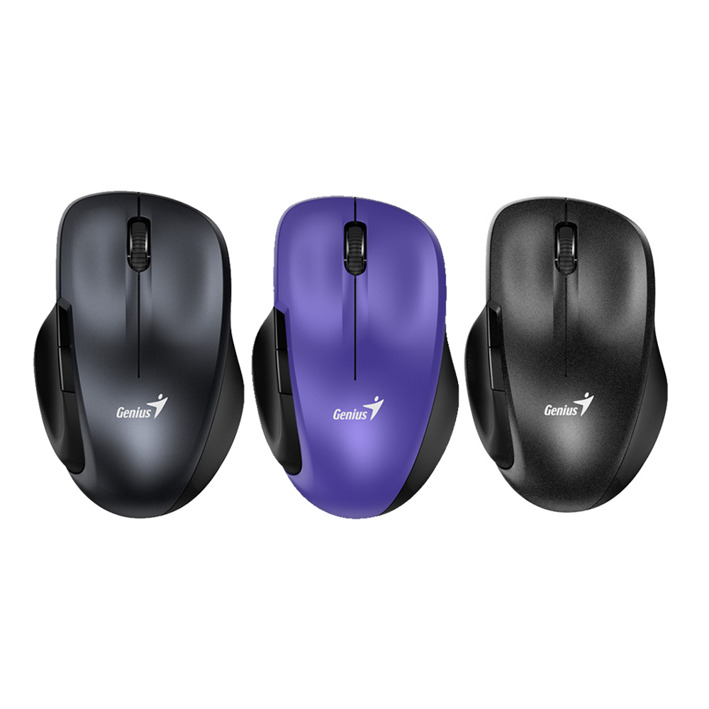 Mouse Genius Ergo 8200S Iron Grey