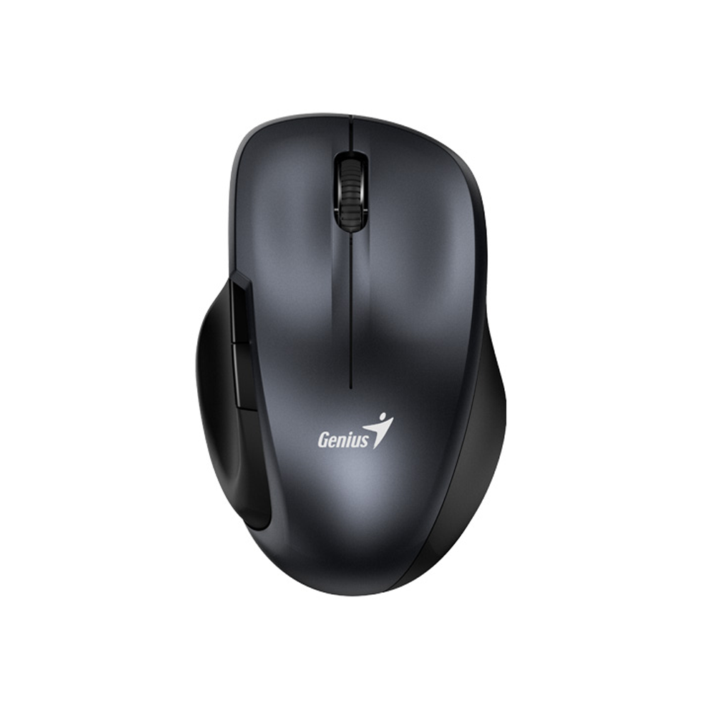 Mouse Genius Ergo 8200S Black