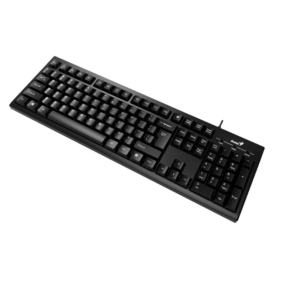 Teclado Genius KB-100 Black USB