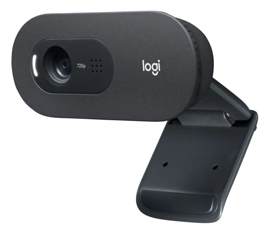 Webcam Logitech C505 Negra