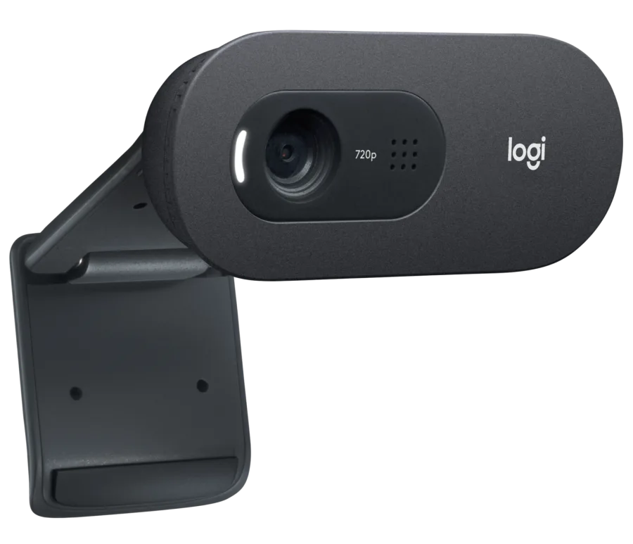 Webcam Logitech C505 Negra