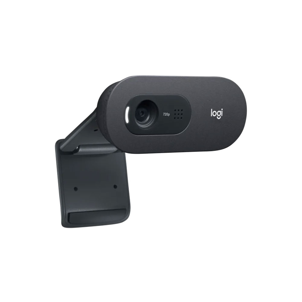 Webcam Logitech C505E HD USB