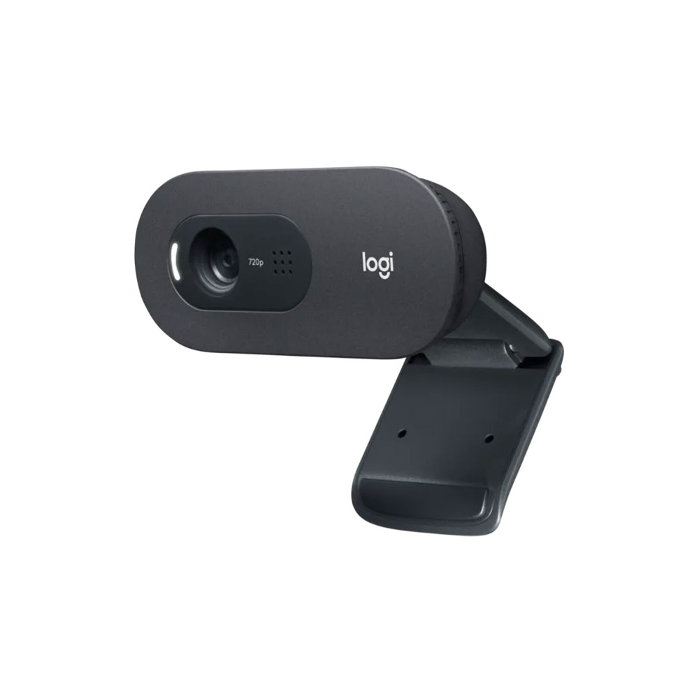 Webcam Logitech C505E HD USB