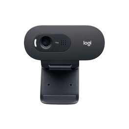 Webcam Logitech C505E HD USB